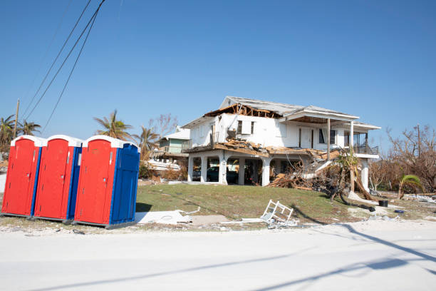 Best Tree Removal  in Baytown, TX